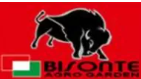 Bisonte Italia